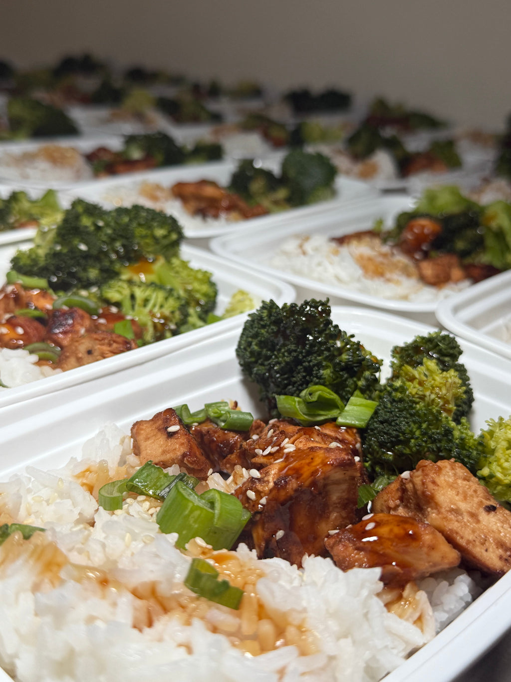 Chicken Teriyaki