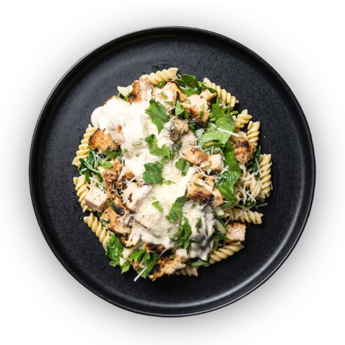 Creamy Chicken Alfredo